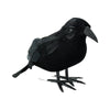 Halloween Black Crow Decor