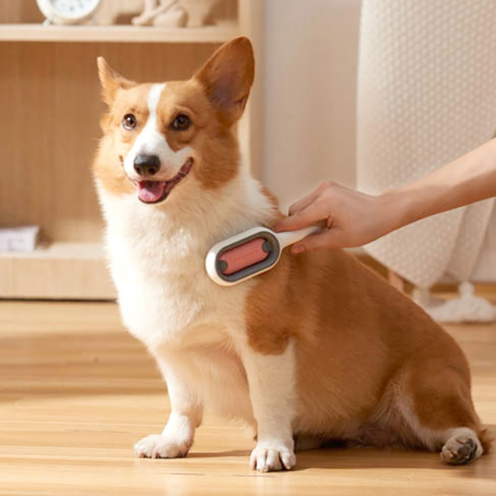 Double-Sided Pet Hair Removal Brush