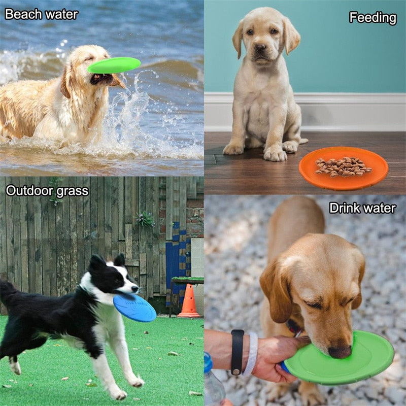 Interactive Dog Training Discs