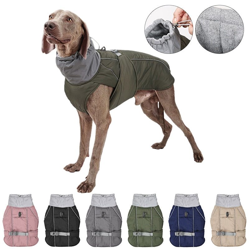 Warm Waterproof Dog Jacket