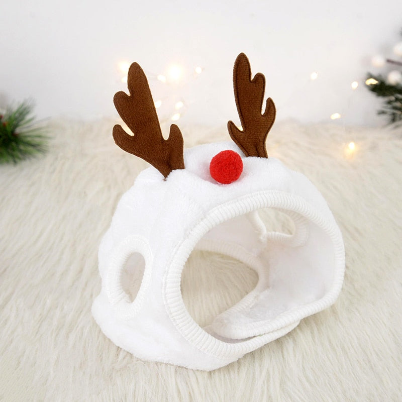 Pet Christmas Hat & Bandana