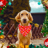 30pcs Christmas Dog Bandana Set