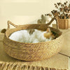 All-Season Woven Cat Bed with Removable Upholstery