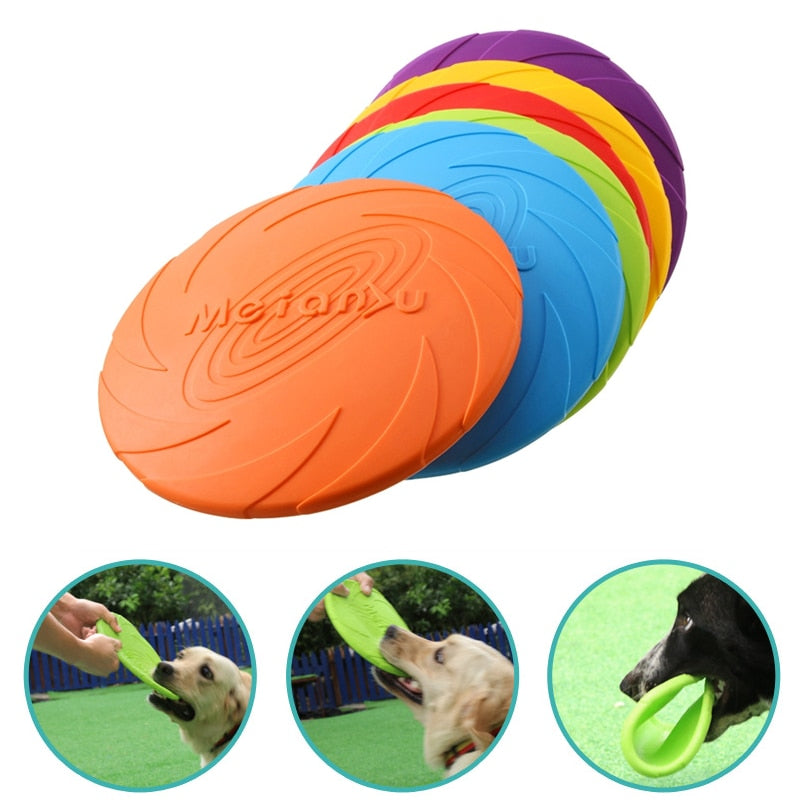 Interactive Dog Training Discs