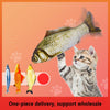 Catnip Fish Toy - Soft Plush 3D Simulation