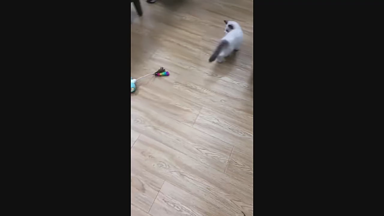 Electric Robotic Kitten Toy