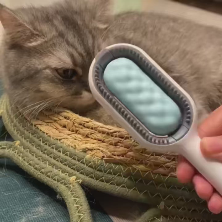 Double-Sided Pet Hair Removal Brush