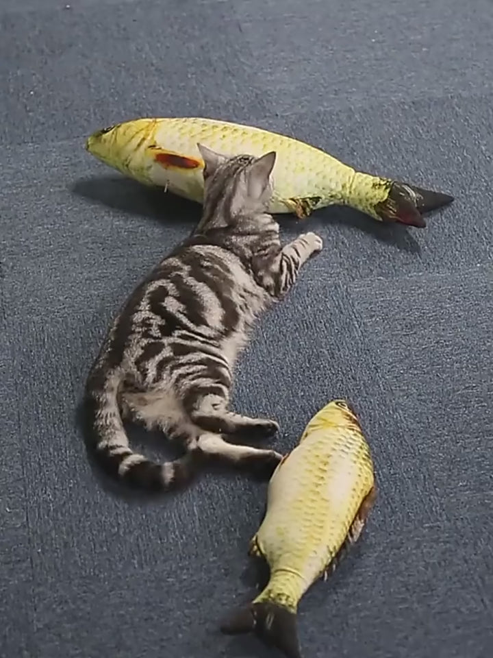 Catnip Fish Toy - Soft Plush 3D Simulation